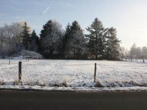 Und sogar im Winter einen Blick wert