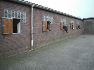 Unsere Boxen mit Fenster